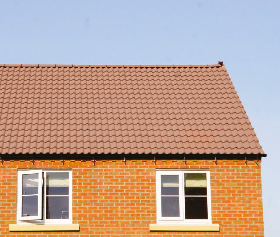 Low pitch pantile 1